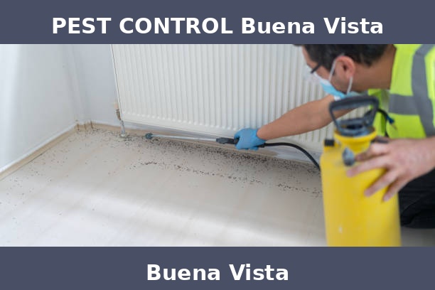 PEST CONTROL Buena Vista